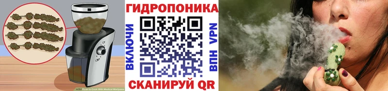 цены наркотик  Вельск  Печенье с ТГК марихуана 
