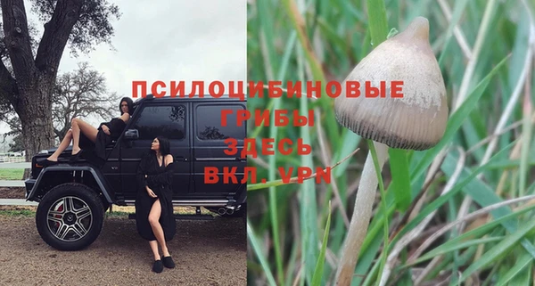 гидропоника Баксан