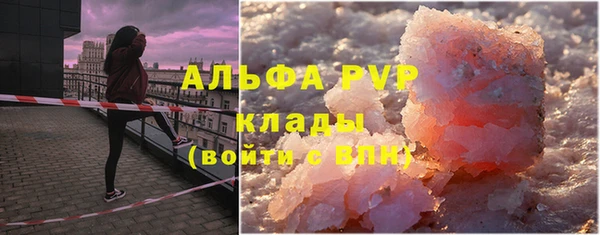 ешки Богданович