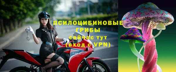 прущая мука Богородицк